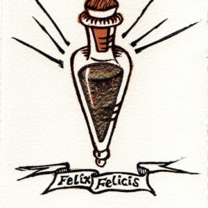 Felix Felicis